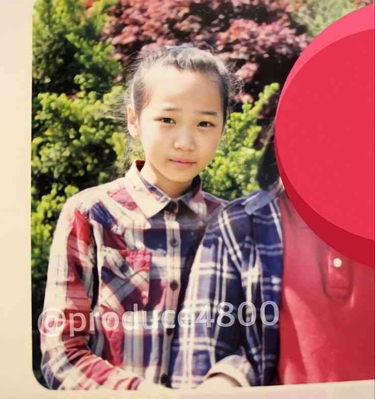 『THE 整った顔』だと思う有名人