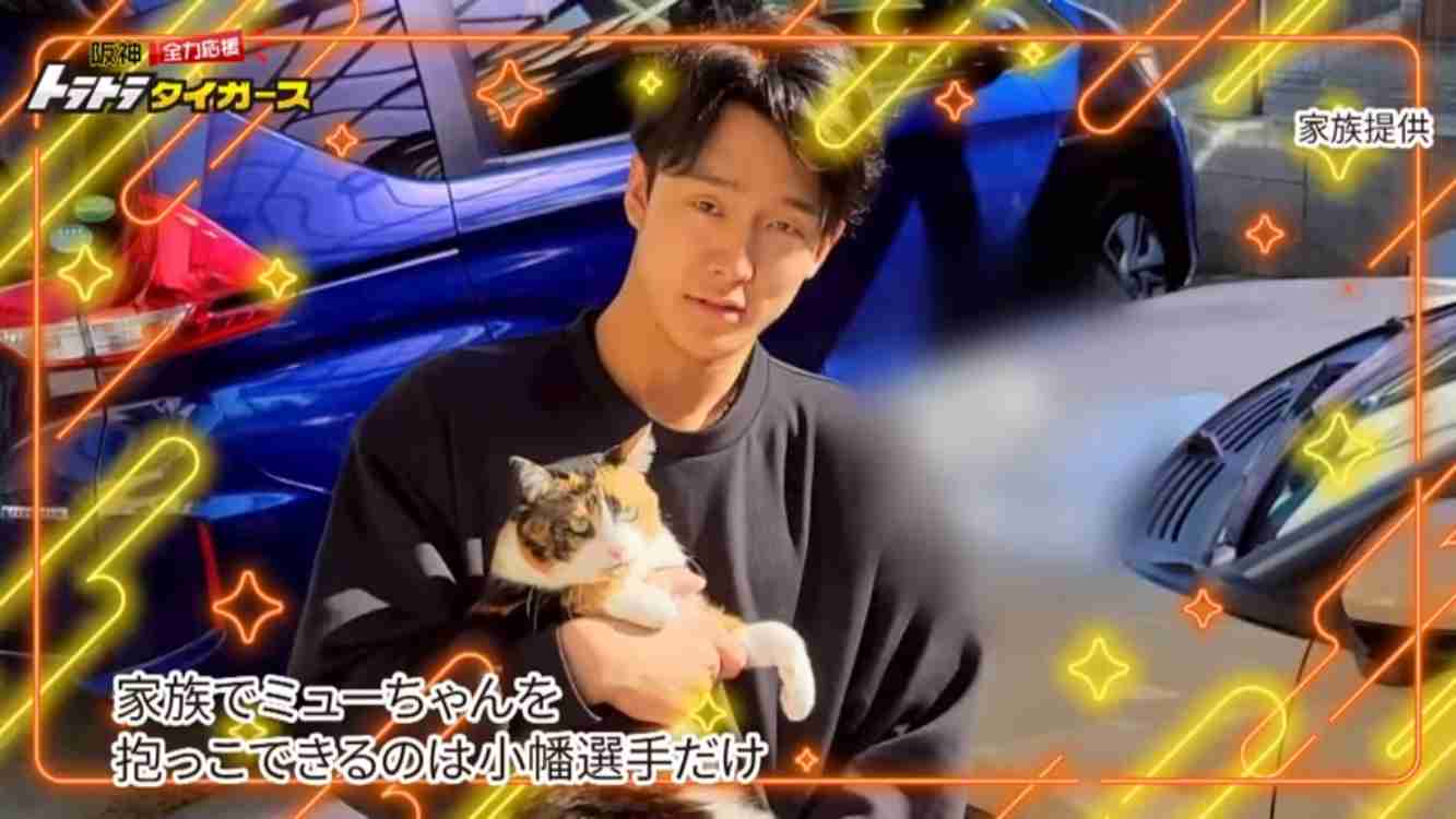 🐯阪神タイガース 応援トピ🐯