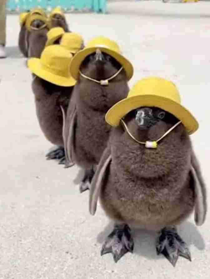 幼稚園の後何してますか？