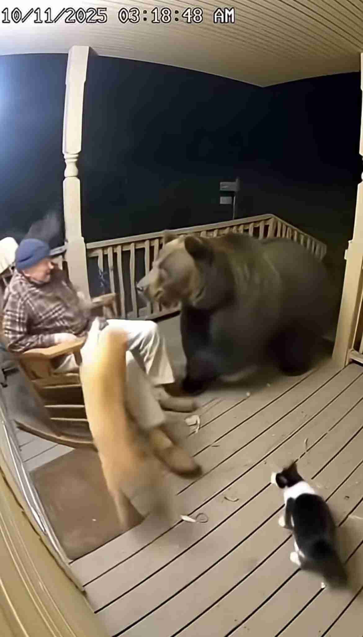 「熊に襲われ行方不明だった」マリーゴールド・ロッシー小川代表 笹崎勝巳レフェリー死去を報告