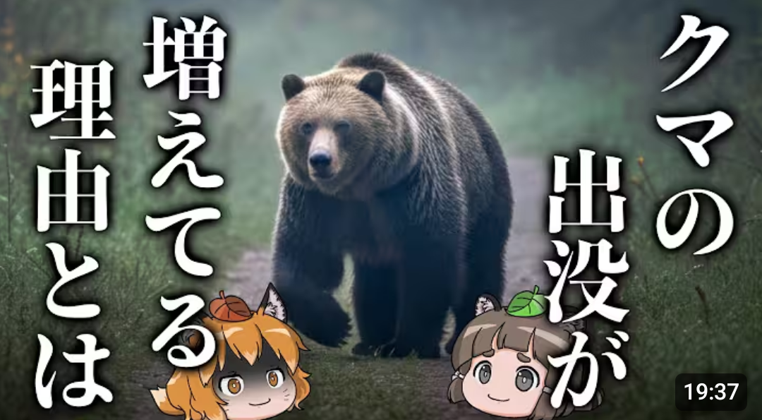 クマ駆除、訓練受けた警察官がライフル銃で対応検討　木原稔官房長官が表明