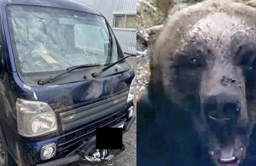 クマ駆除、訓練受けた警察官がライフル銃で対応検討　木原稔官房長官が表明
