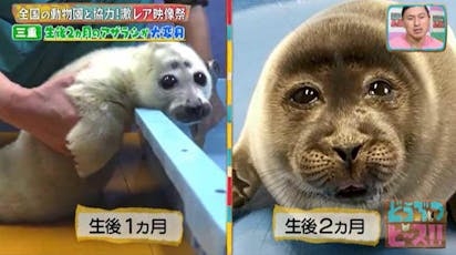 【老化】「自分にもついにこれが来たか」な事
