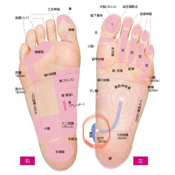 疲れがたまると痛む部位は？