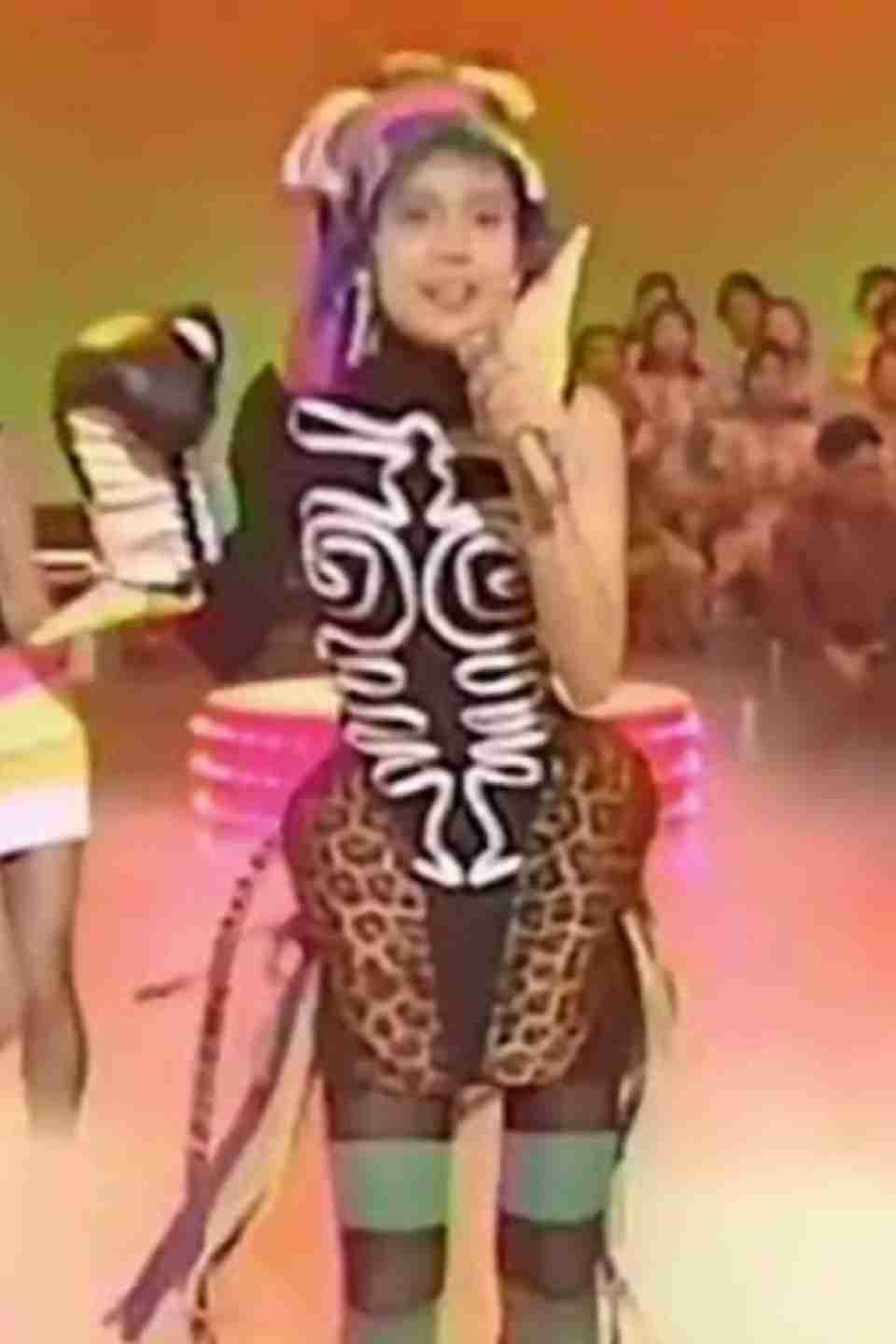  なんだこの衣装…となった芸能人の衣装 part8