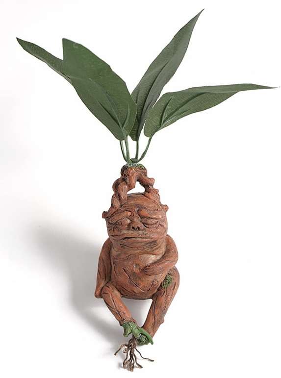 【体験談】花泥棒被害者の会【防犯対策】Part10