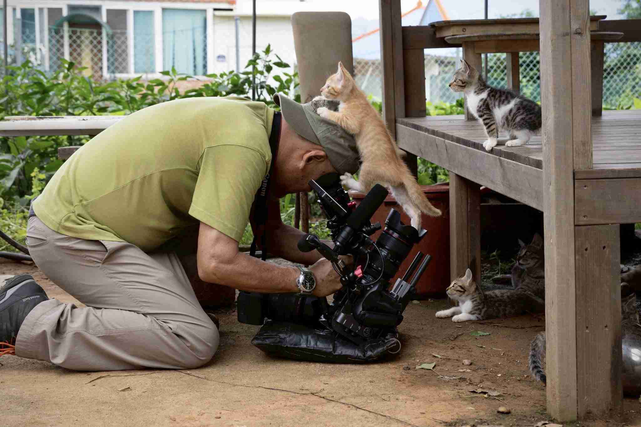 写真家・岩合光昭、「ネコ歩き」撮影中。“確信犯的に邪魔する”猫に「またやられています」