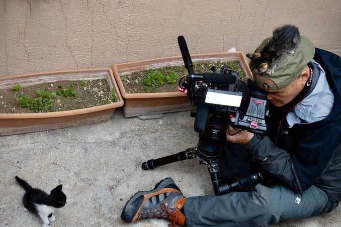 写真家・岩合光昭、「ネコ歩き」撮影中。“確信犯的に邪魔する”猫に「またやられています」