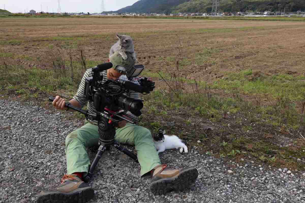 写真家・岩合光昭、「ネコ歩き」撮影中。“確信犯的に邪魔する”猫に「またやられています」