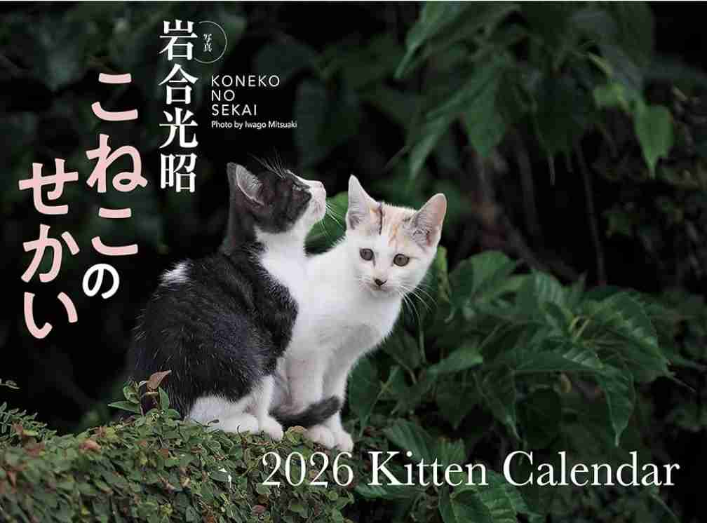 写真家・岩合光昭、「ネコ歩き」撮影中。“確信犯的に邪魔する”猫に「またやられています」