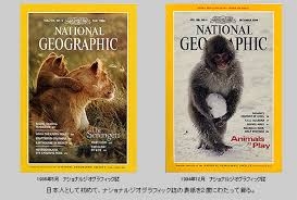 写真家・岩合光昭、「ネコ歩き」撮影中。“確信犯的に邪魔する”猫に「またやられています」