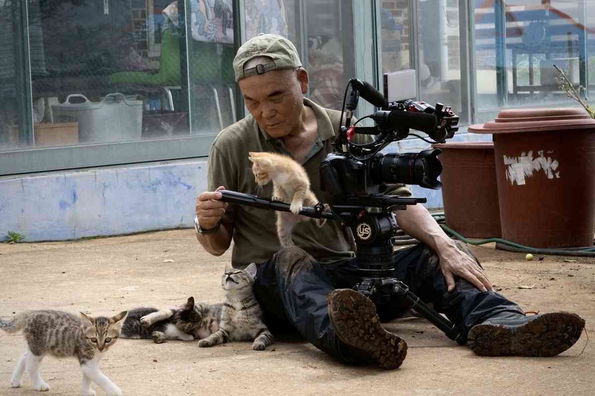 写真家・岩合光昭、「ネコ歩き」撮影中。“確信犯的に邪魔する”猫に「またやられています」