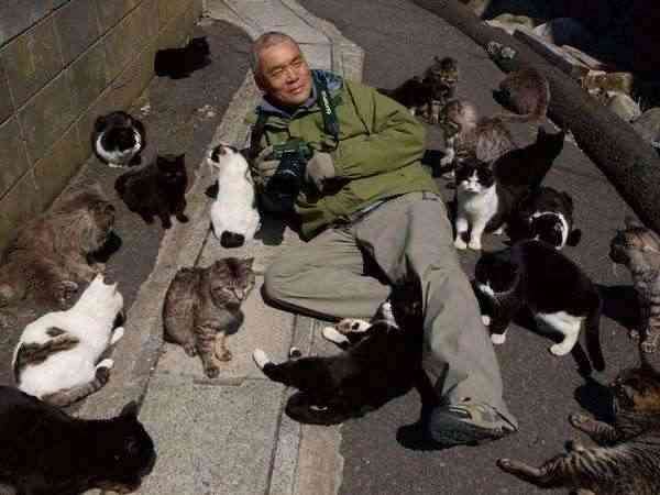 写真家・岩合光昭、「ネコ歩き」撮影中。“確信犯的に邪魔する”猫に「またやられています」