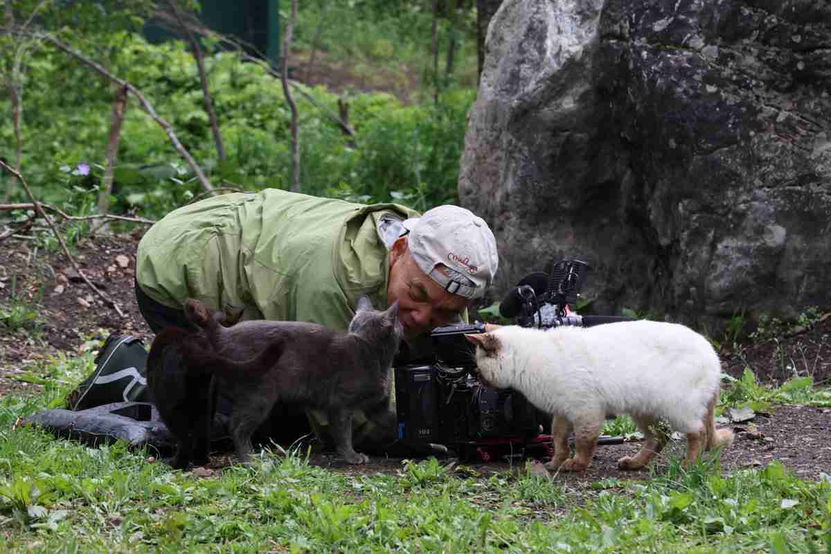 写真家・岩合光昭、「ネコ歩き」撮影中。“確信犯的に邪魔する”猫に「またやられています」