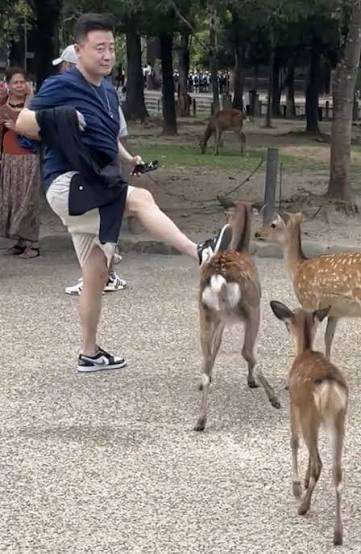 日テレ、高市内閣支持率示すグラフに誤りで謝罪　「支持しない」が実際より高い位置に...原因は「作業上のミス」