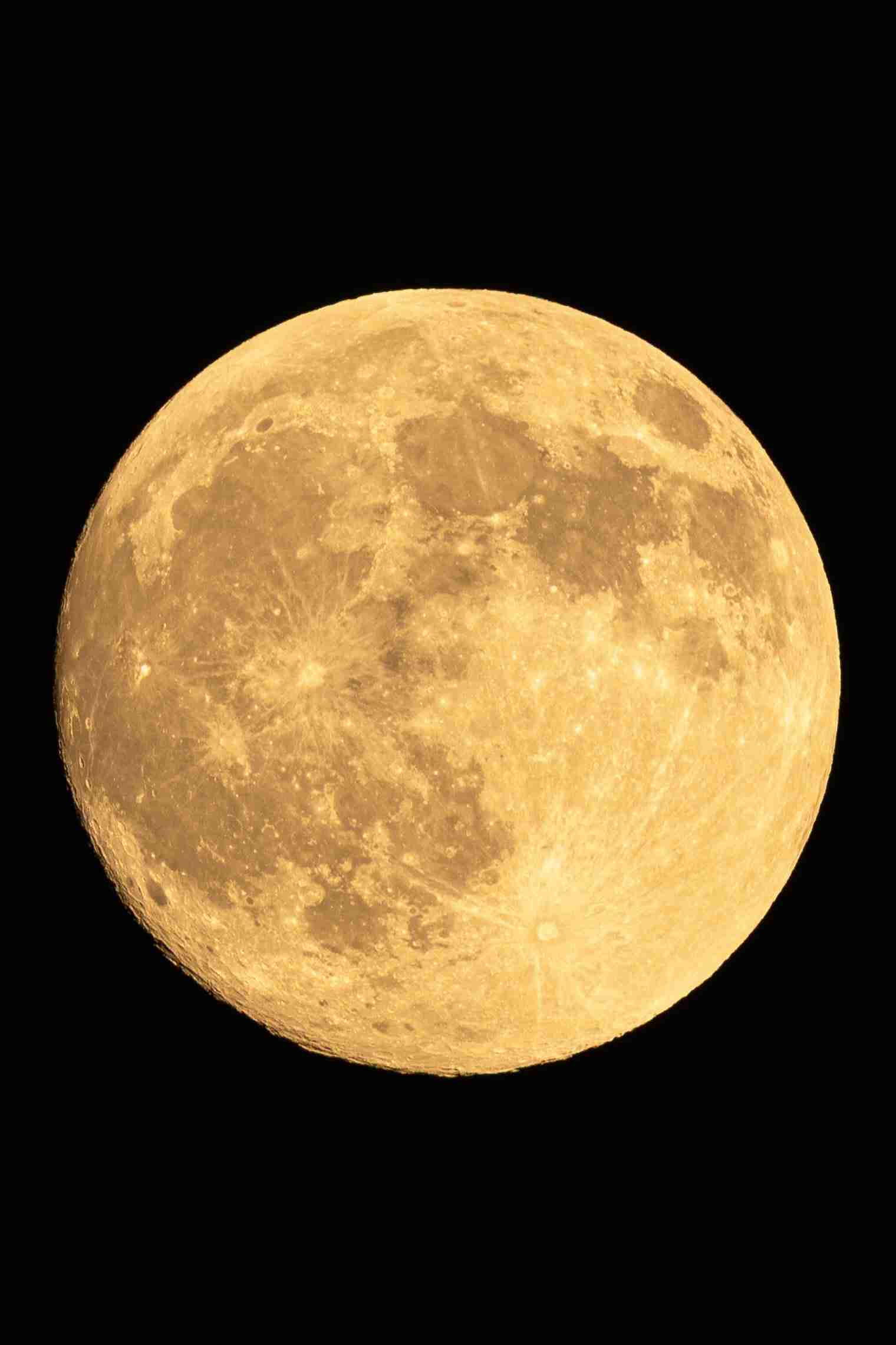 米津玄師が好きな人!PART 11+hachi【ファントピ•アンチ厳禁】