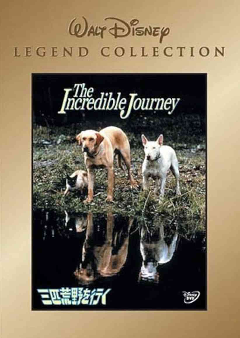 ディズニーのマイナー作品について語ろう Part9