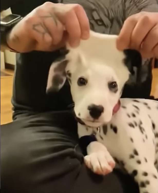 みんなが今したい髪型を教えて