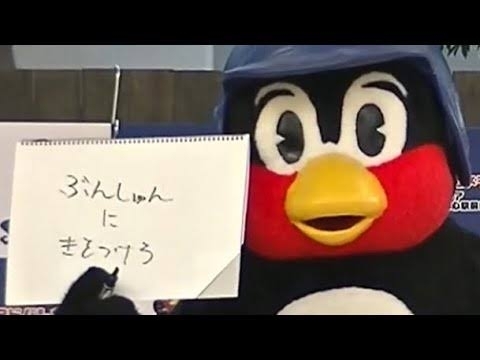 「イケメンすぎる」アナウンサーが見つかり騒然「顔…」「アイドル」超有名大卒→入社の秦令欧奈アナ
