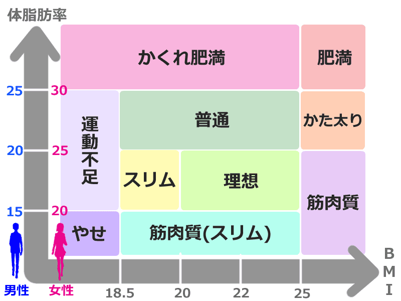 BMI19以下の美容・ダイエット
