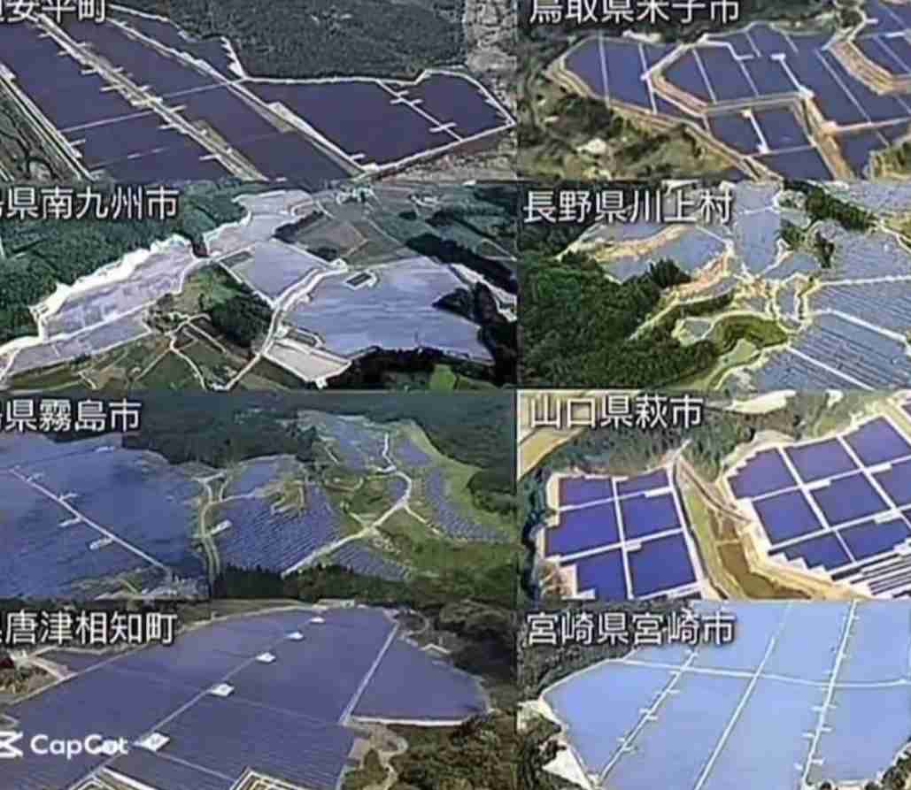 クマ駆除に自衛隊派遣検討要望へ 秋田知事「対応可能な範囲超えた」