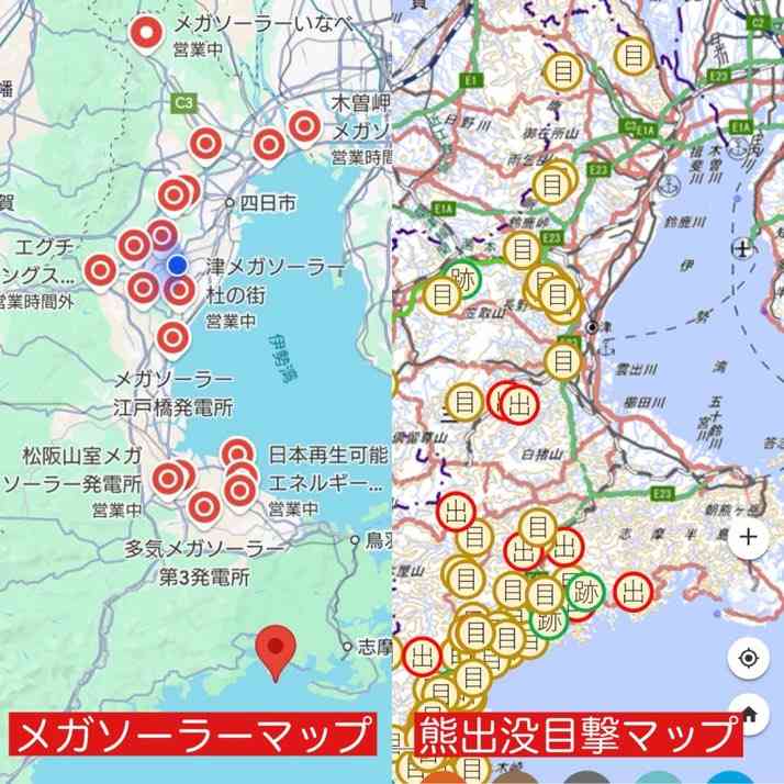 クマ駆除に自衛隊派遣検討要望へ 秋田知事「対応可能な範囲超えた」