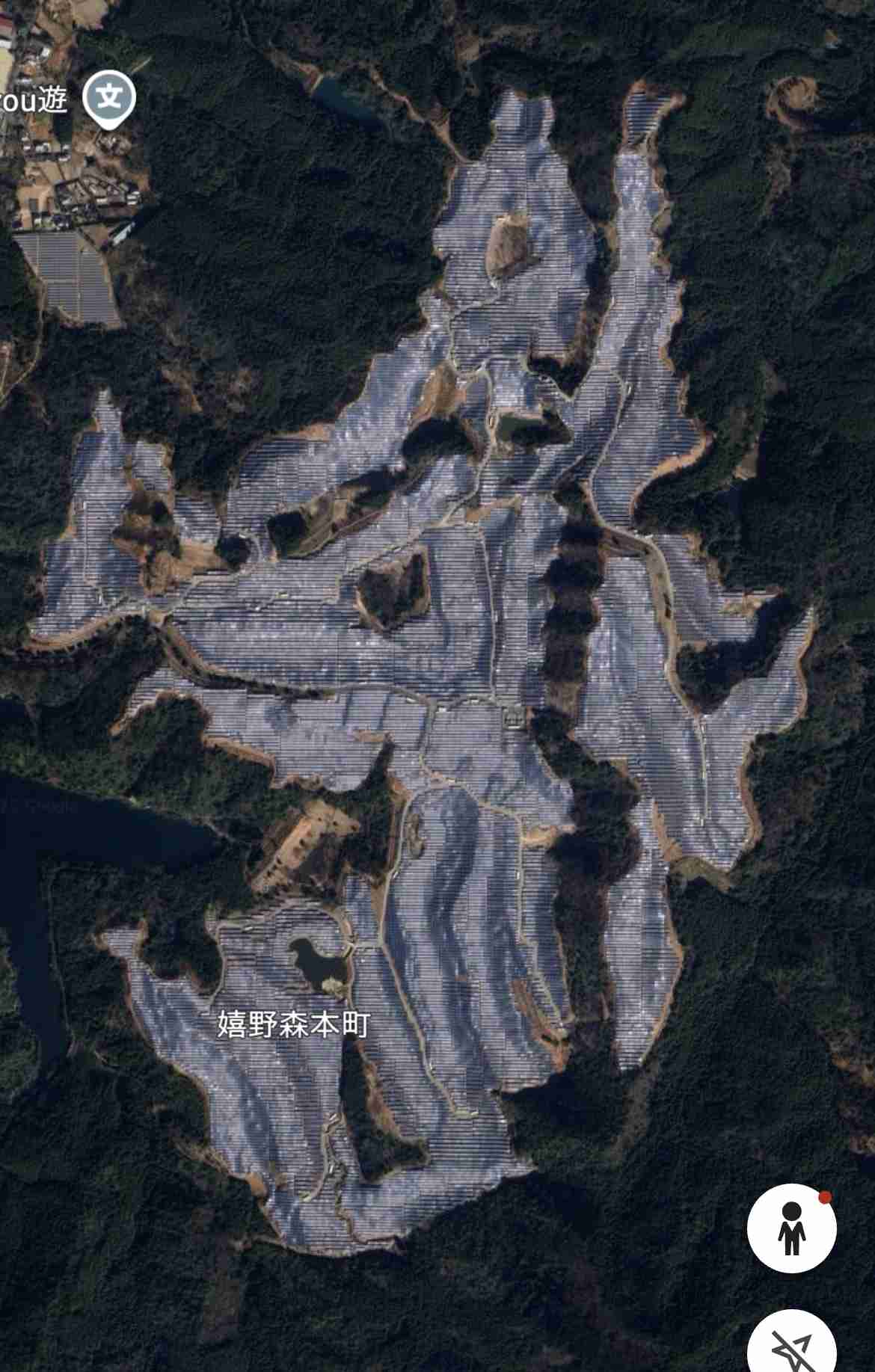 クマ駆除に自衛隊派遣検討要望へ 秋田知事「対応可能な範囲超えた」