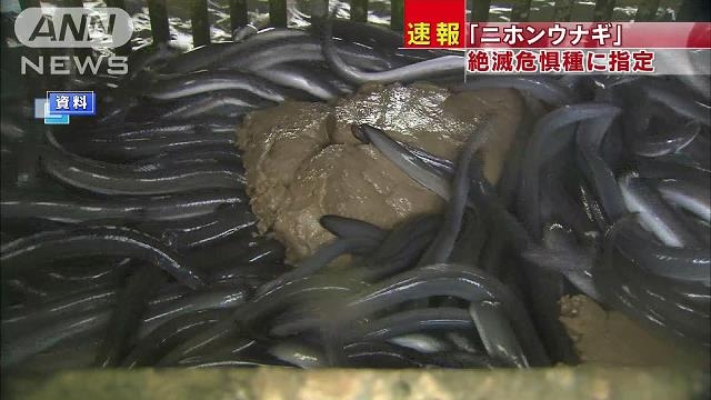 絶滅危惧種の動物が見たい