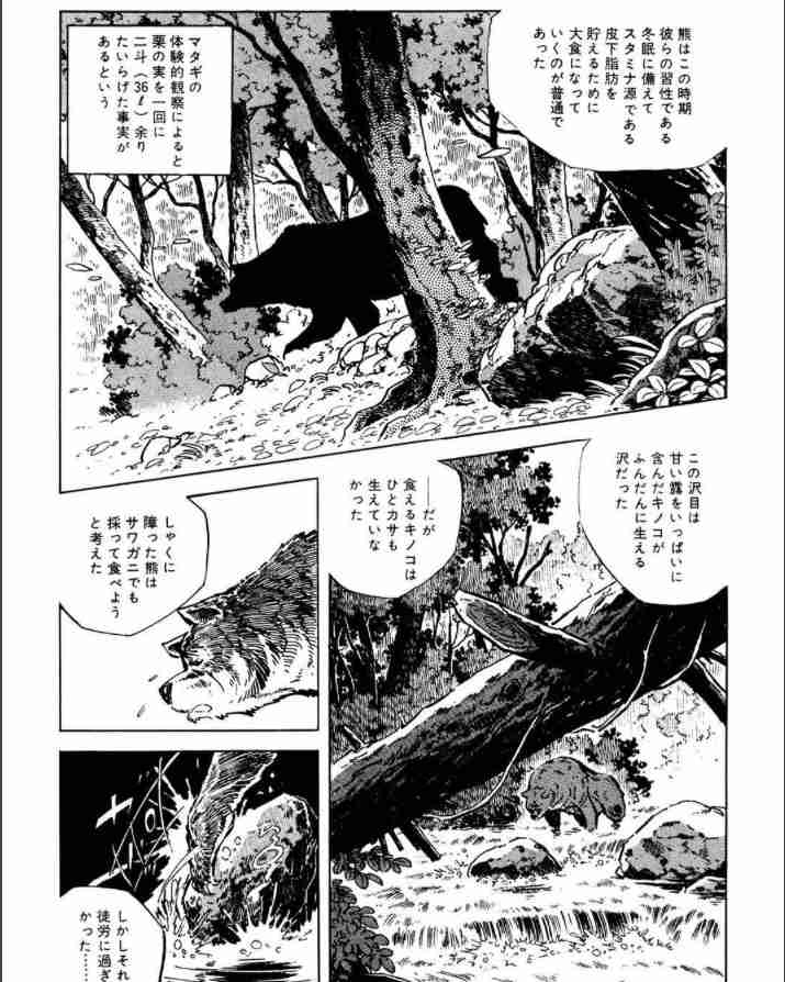 クマに襲われたか 住宅敷地内に身元不明の遺体発見 遺体に獣による爪跡など確認 岩手県一関市