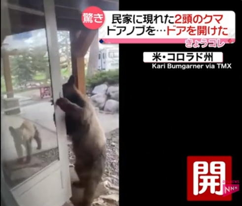 クマに襲われたか 住宅敷地内に身元不明の遺体発見 遺体に獣による爪跡など確認 岩手県一関市