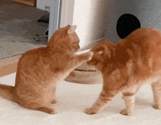 同僚を嫌いになりそう