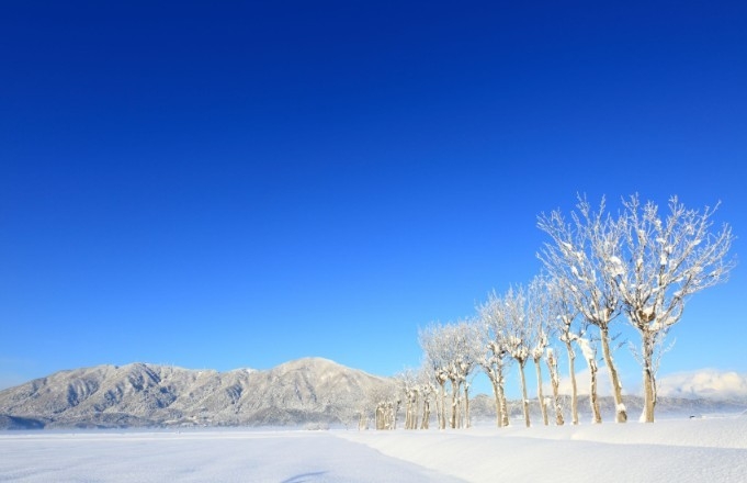 好きな色の組み合わせpart3