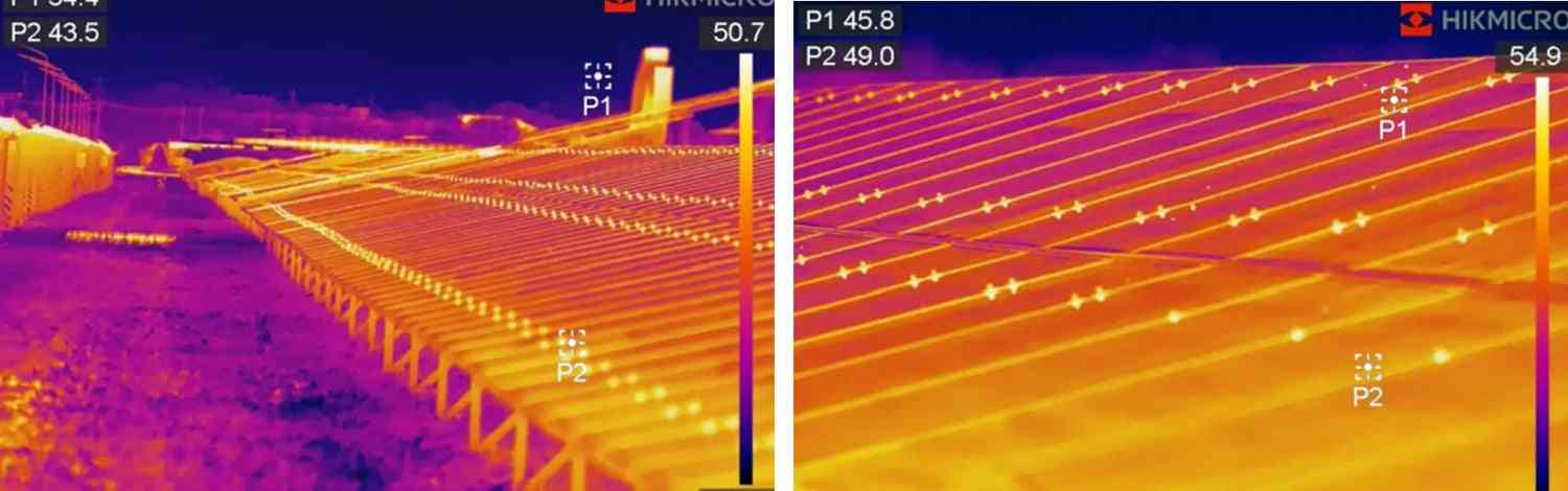仙台市青葉区の広瀬川河川敷で“一度に”クマ5頭 JR仙台駅から約3キロ