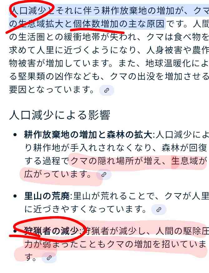 仙台市青葉区の広瀬川河川敷で“一度に”クマ5頭 JR仙台駅から約3キロ
