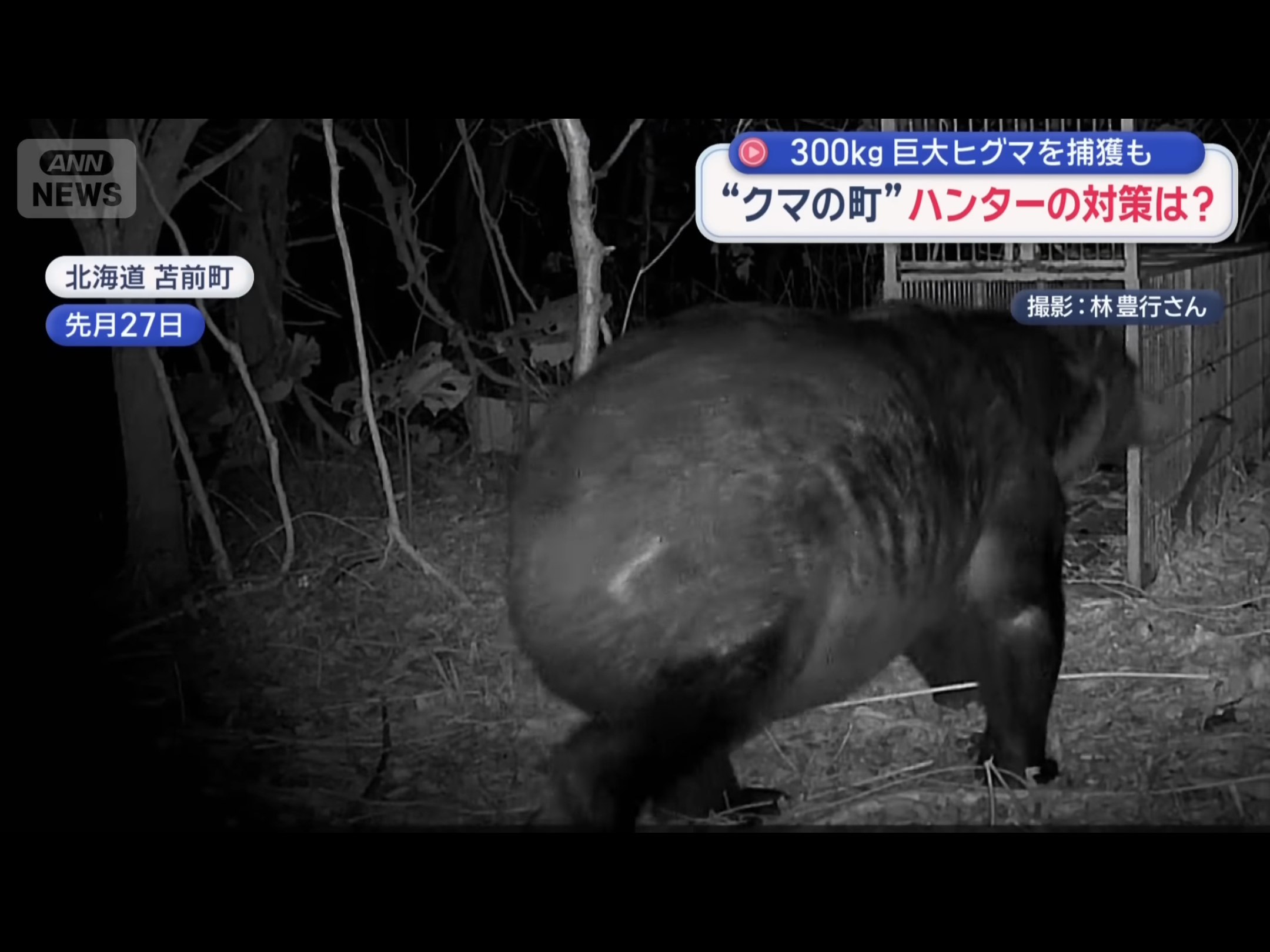 仙台市青葉区の広瀬川河川敷で“一度に”クマ5頭 JR仙台駅から約3キロ