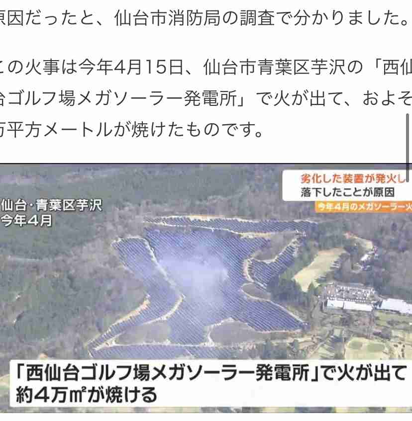 仙台市青葉区の広瀬川河川敷で“一度に”クマ5頭 JR仙台駅から約3キロ