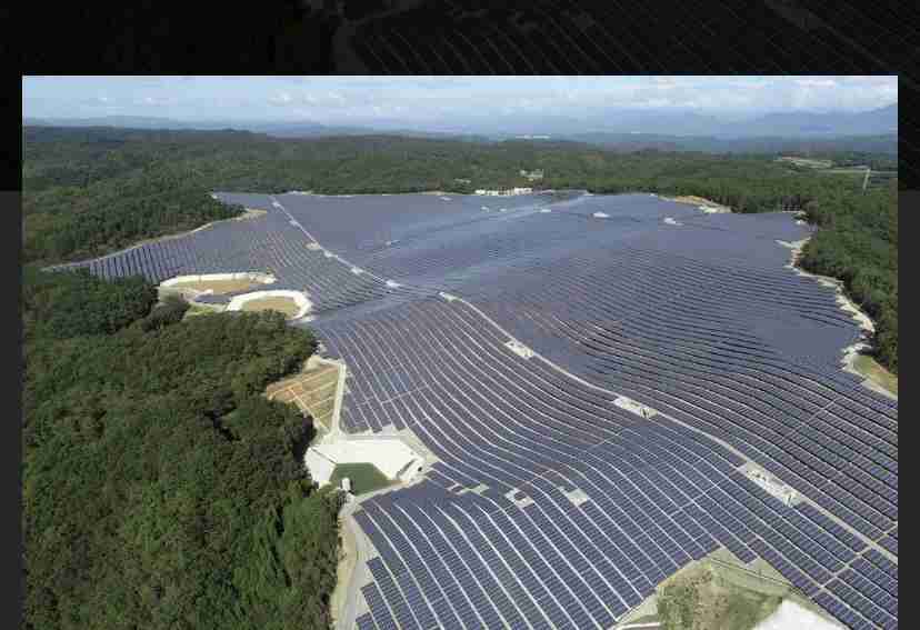 仙台市青葉区の広瀬川河川敷で“一度に”クマ5頭 JR仙台駅から約3キロ