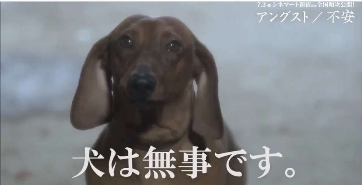 「孤狼の血 LEVEL2」見たかたで語り合いたい