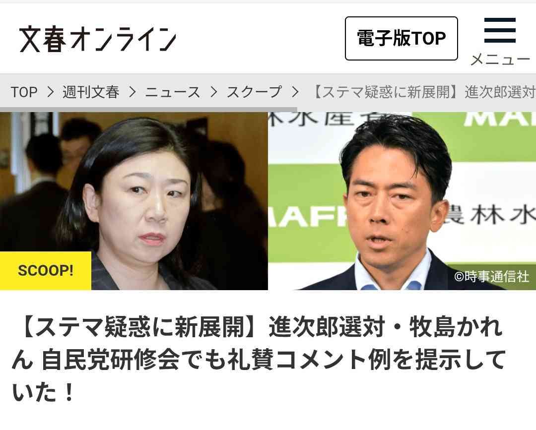 全国党員票は高市氏17都道府県で優勢…次いで小泉氏15県と国会議員票合わせ総合トップ　2位争いは高市氏と林氏か　FNN動向調査　4日自民党総裁選