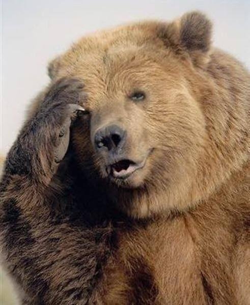クマ銃猟に抗議して農産物「不売運動」呼びかけ　愛護家の投稿に県人会は反発「秋田産を応援して」