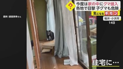クマ銃猟に抗議して農産物「不売運動」呼びかけ　愛護家の投稿に県人会は反発「秋田産を応援して」