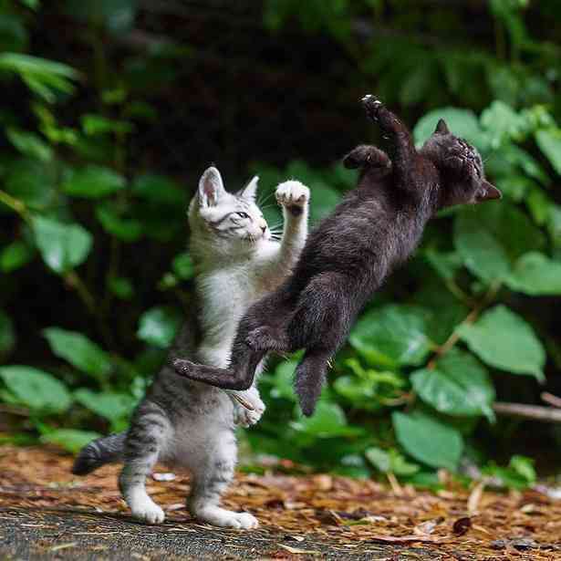 恋人と別れたことを他人に責められた