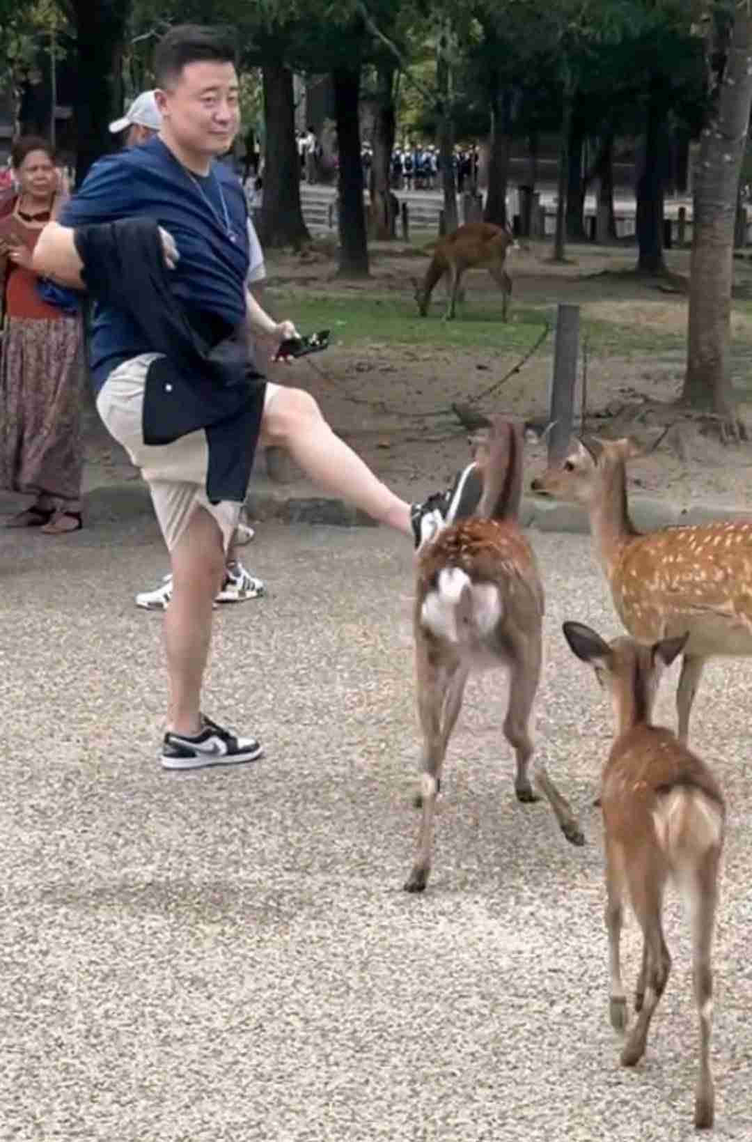 奈良公園のシカめぐる報道で日テレが声明「中傷、迷惑行為は慎んで」