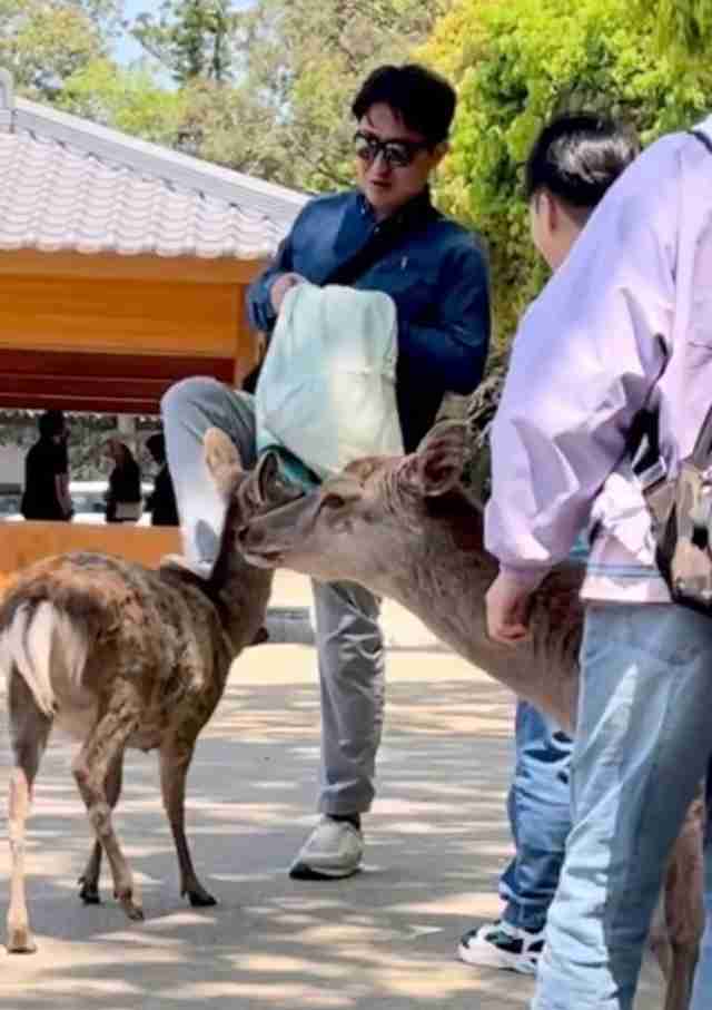奈良公園のシカめぐる報道で日テレが声明「中傷、迷惑行為は慎んで」