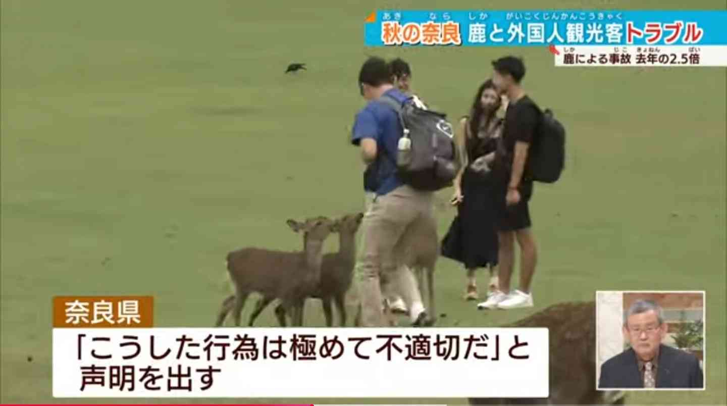 奈良公園のシカめぐる報道で日テレが声明「中傷、迷惑行為は慎んで」