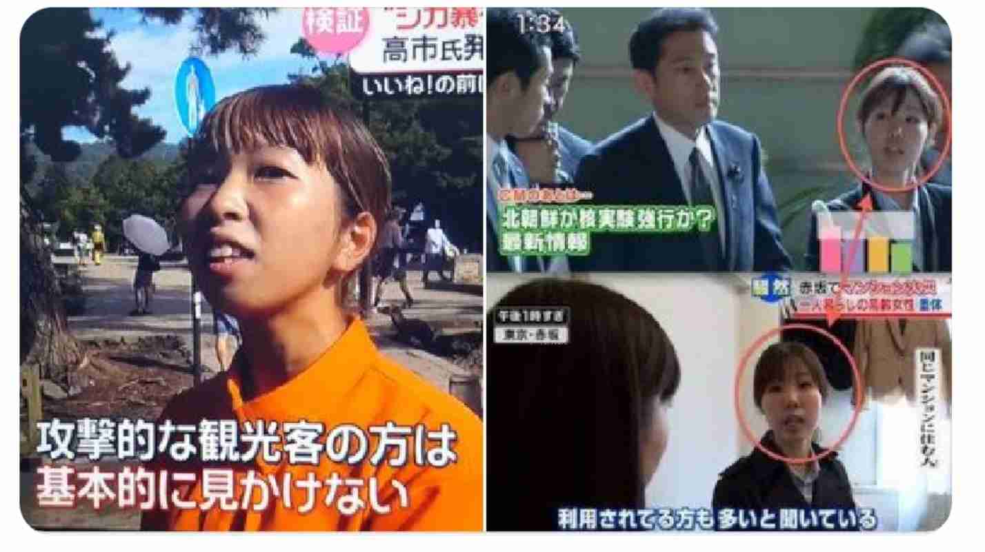 奈良公園のシカめぐる報道で日テレが声明「中傷、迷惑行為は慎んで」