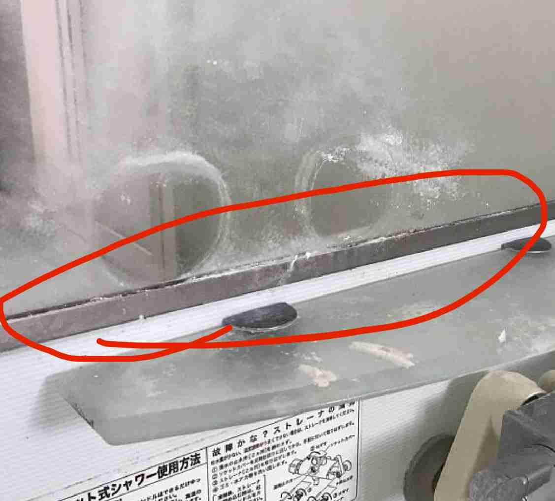掃除のプロにアドバイスをもらうトピ