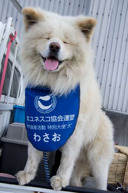 ふと思い出した懐かしい人・物