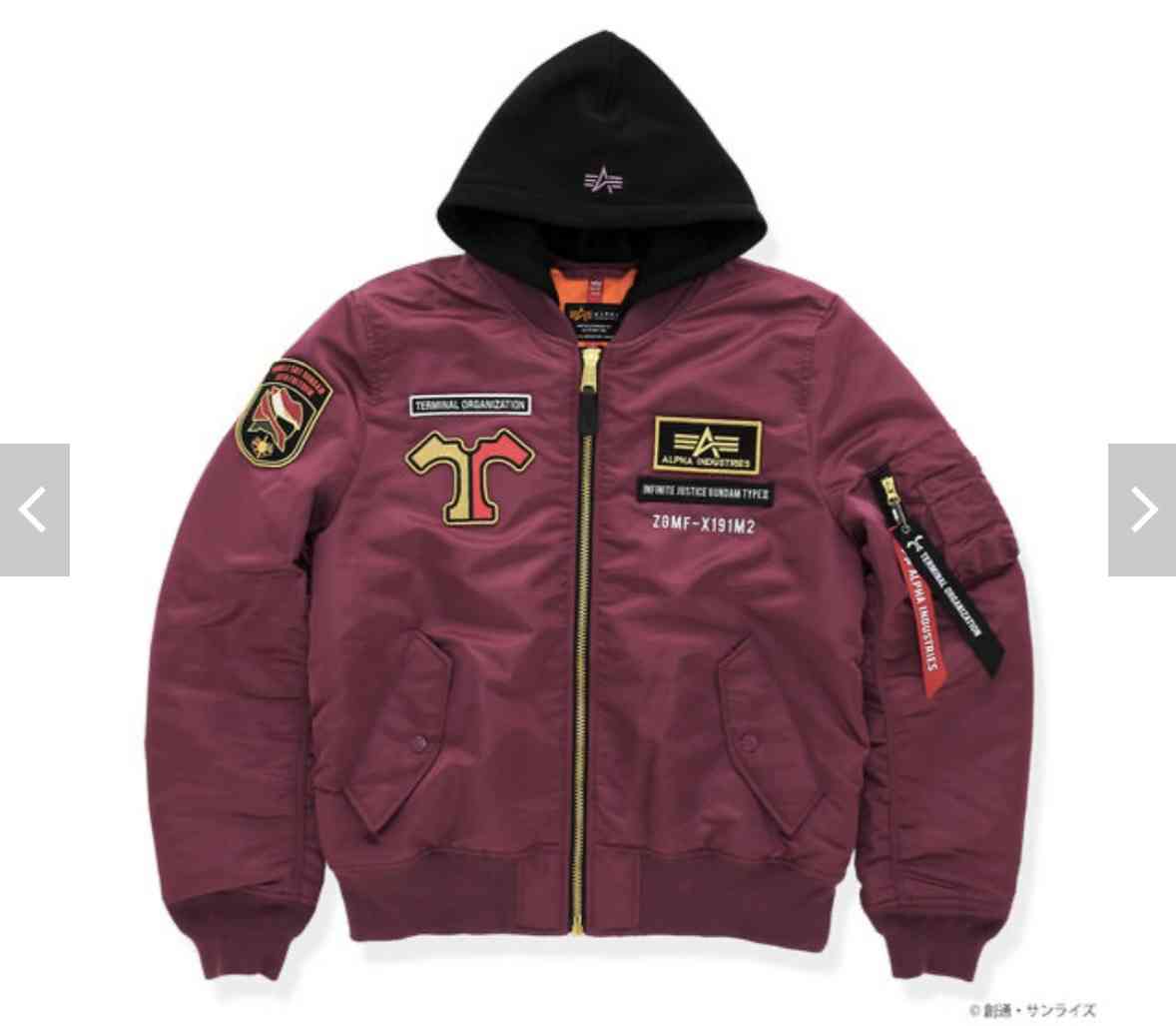 【ガンダムSEED】カガリを愛でるトピpart19【アンチ厳禁】