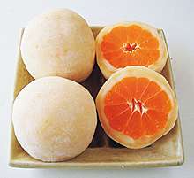 しまなみ海道のお勧め